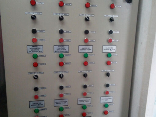 maximovicha-(10)