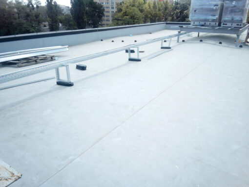 maximovicha-(12)